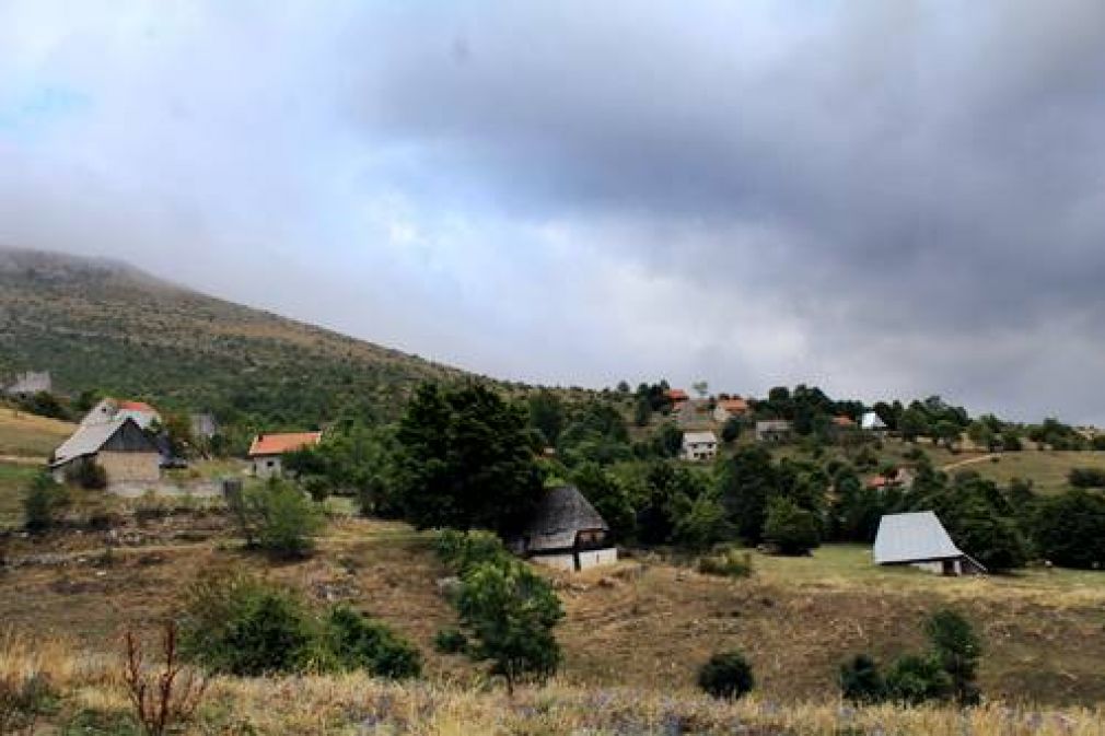 Zahum ponovno oživljava