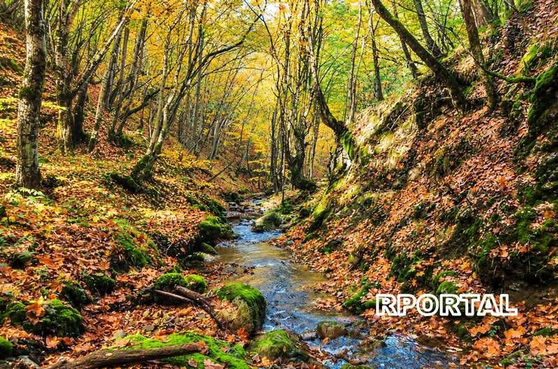 Foto: Jesen u Rami - Višnjanski potok
