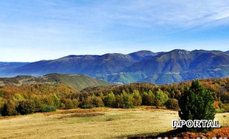 Na dana&scaron;nji dan 1993. godine