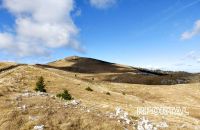 Na dana&scaron;nji dan 1992. godine